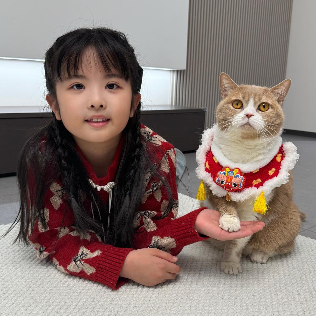 奶球是只喵