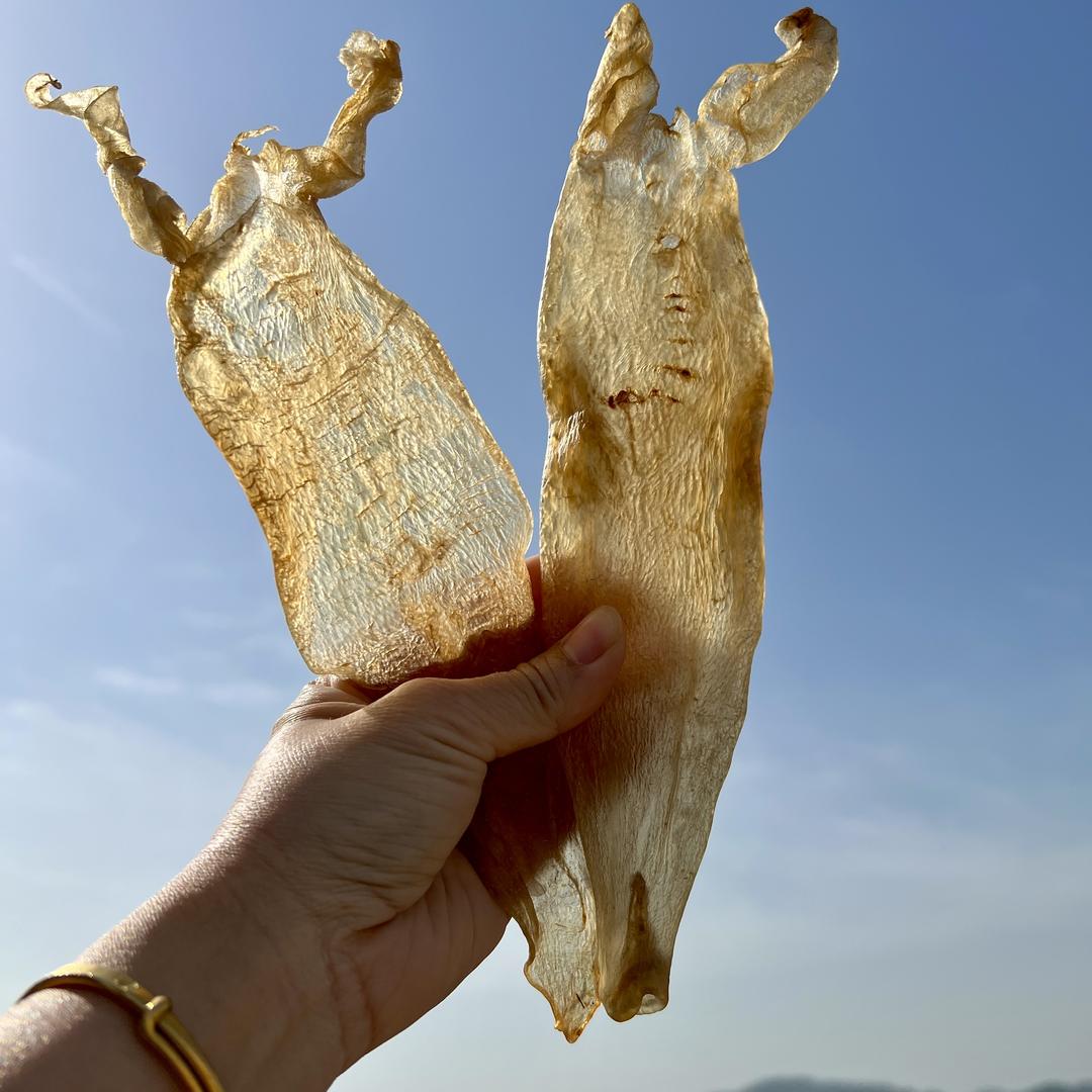 鱼多多滋补