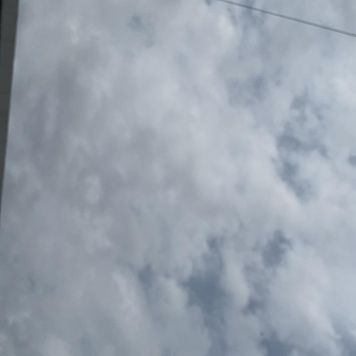 裁判