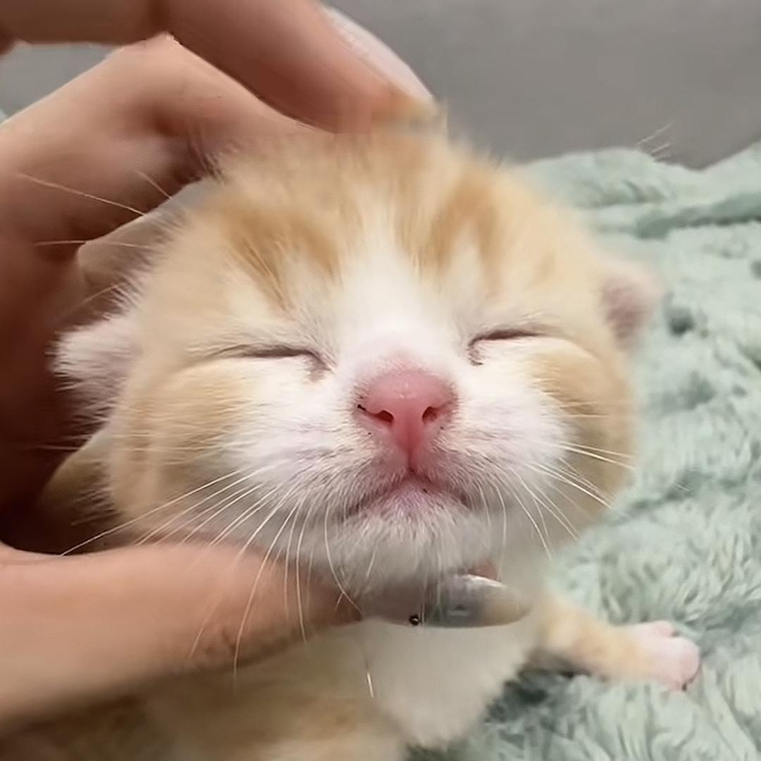 meeeeeey