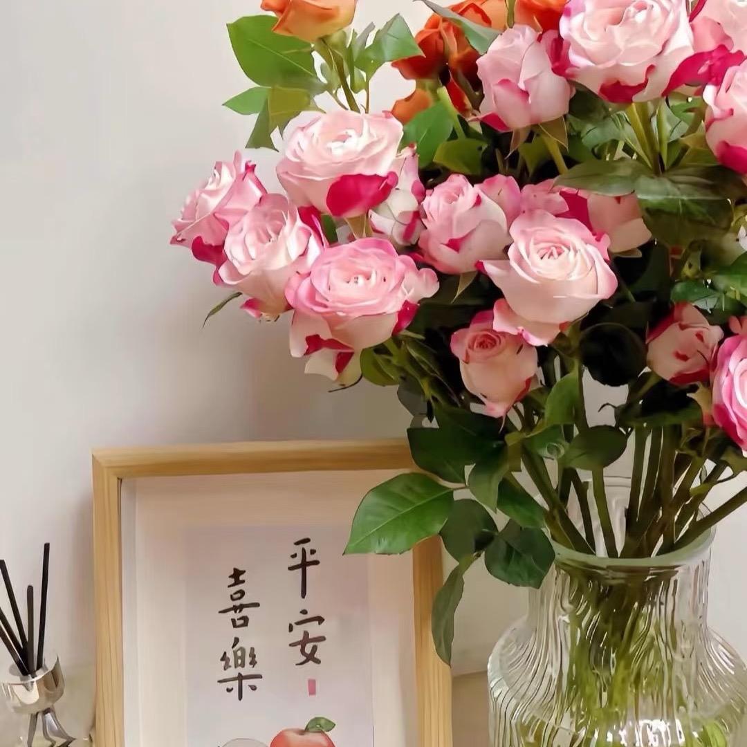 ◡̈  每天都很困‘’🙃