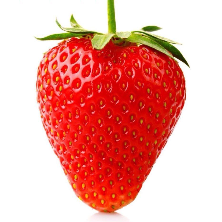 欣欣草莓88号采摘园官方号