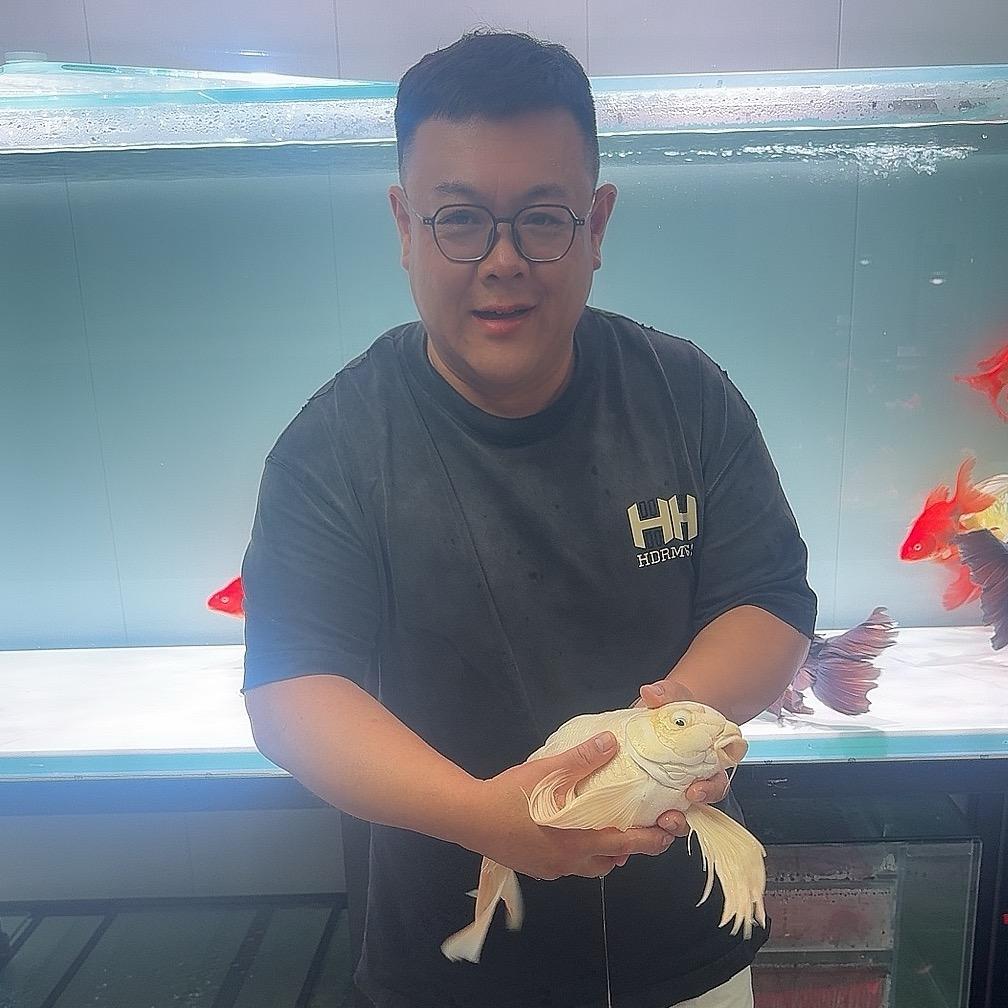 涛哥被鱼养（专注鱼缸过滤）