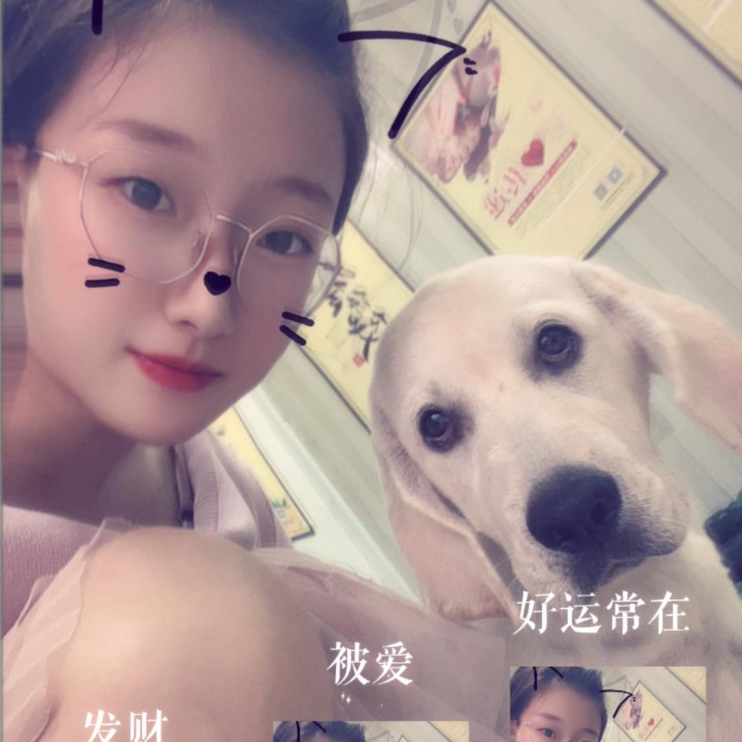 无心@