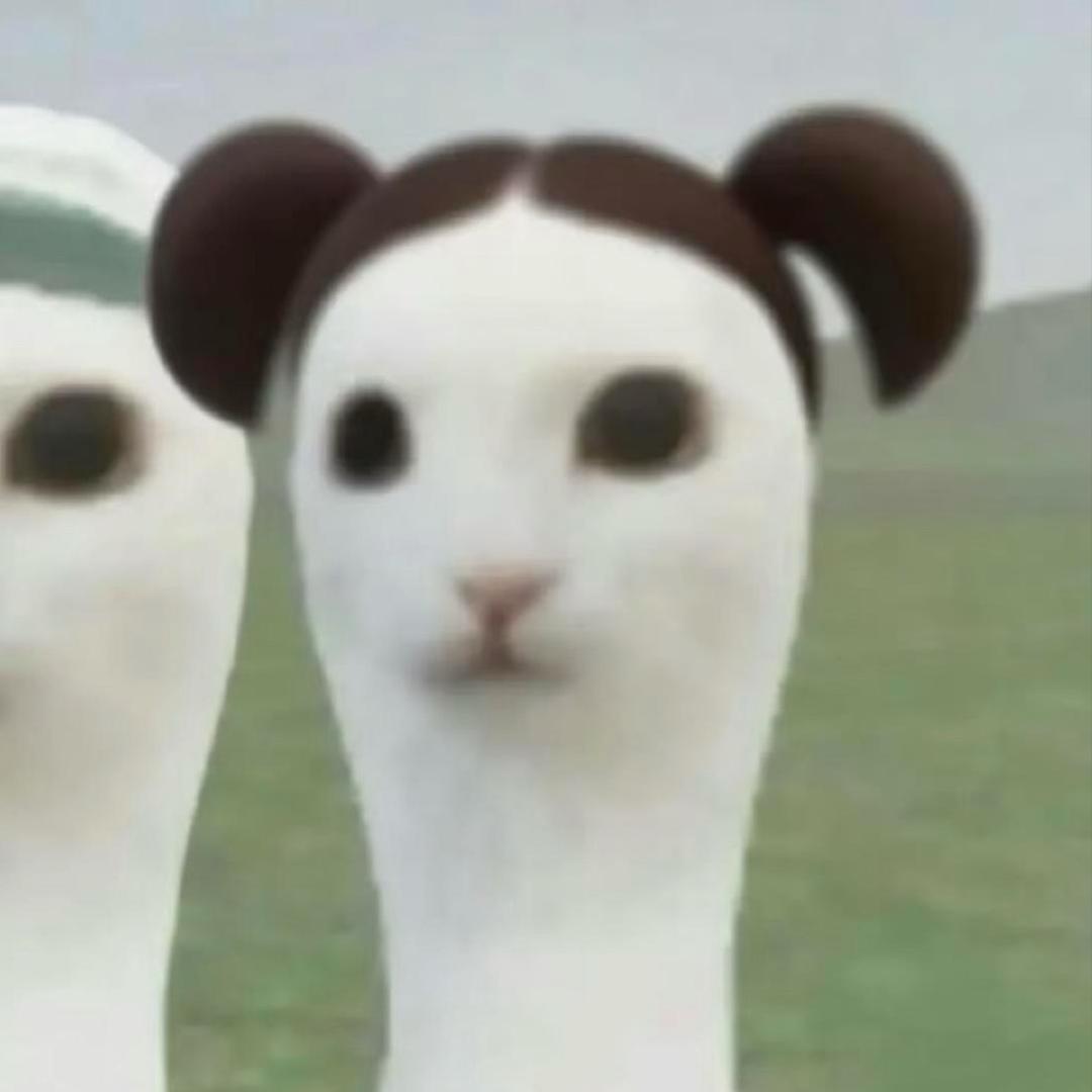 你老公好丑