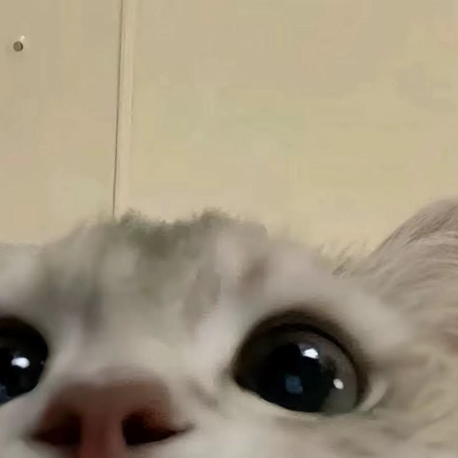 8315