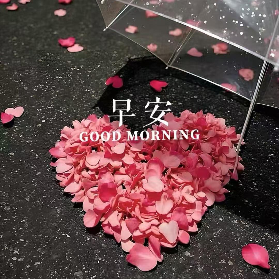 小小