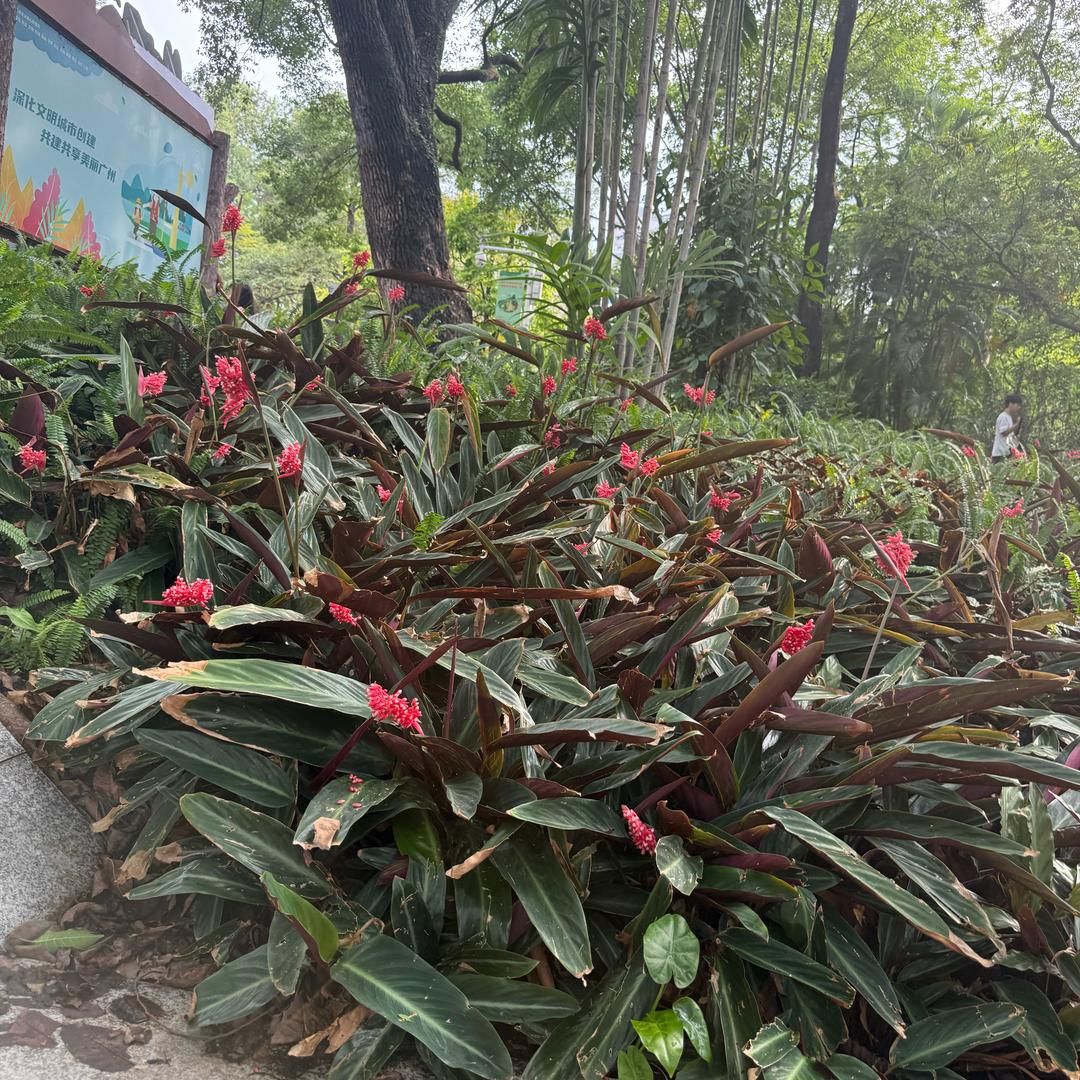 用户0856476889