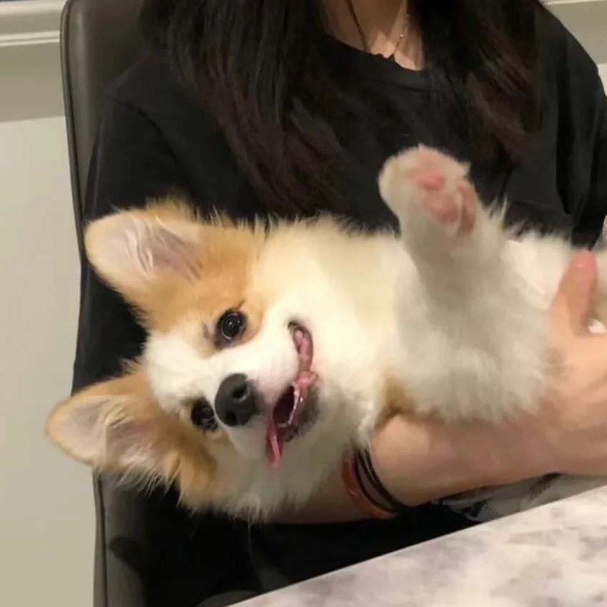 我是大王