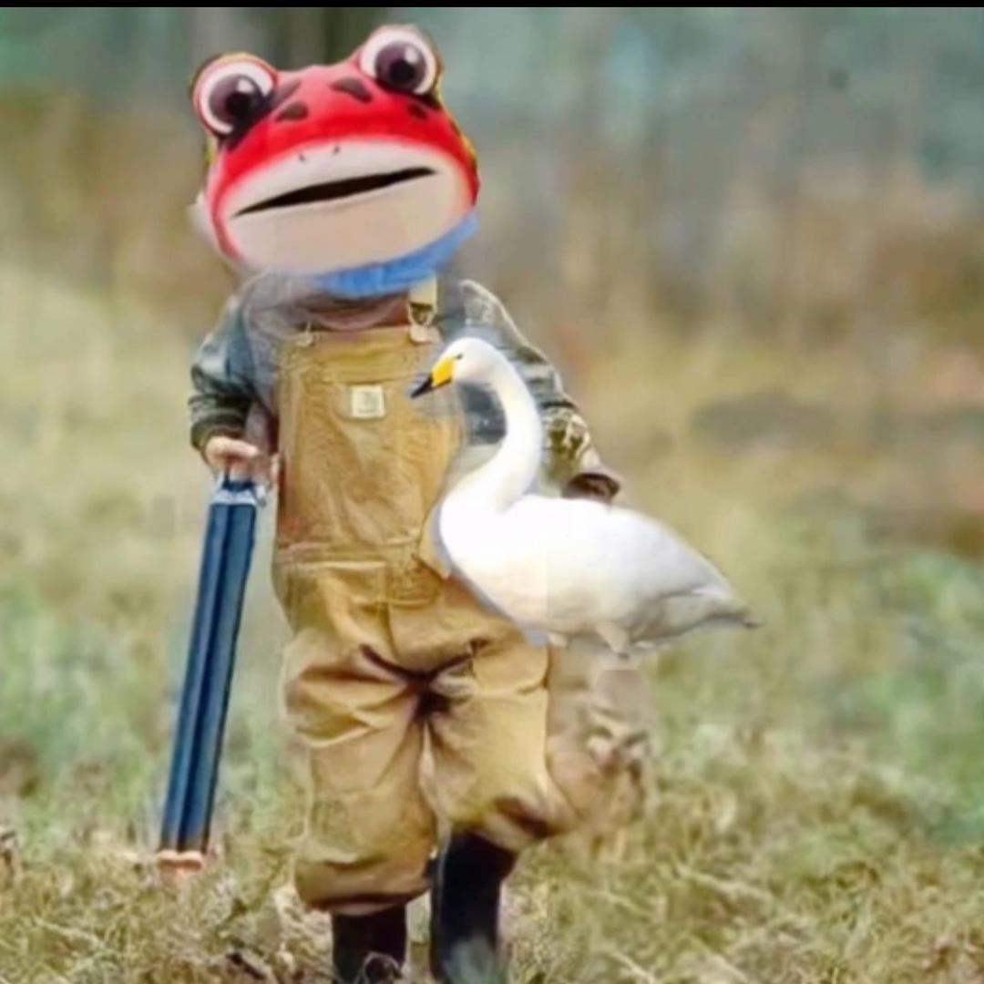 不聪明的墨菲特