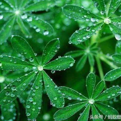 ঞৣ᭄亿薪💰向钱🚬ꦿꦿ᭄