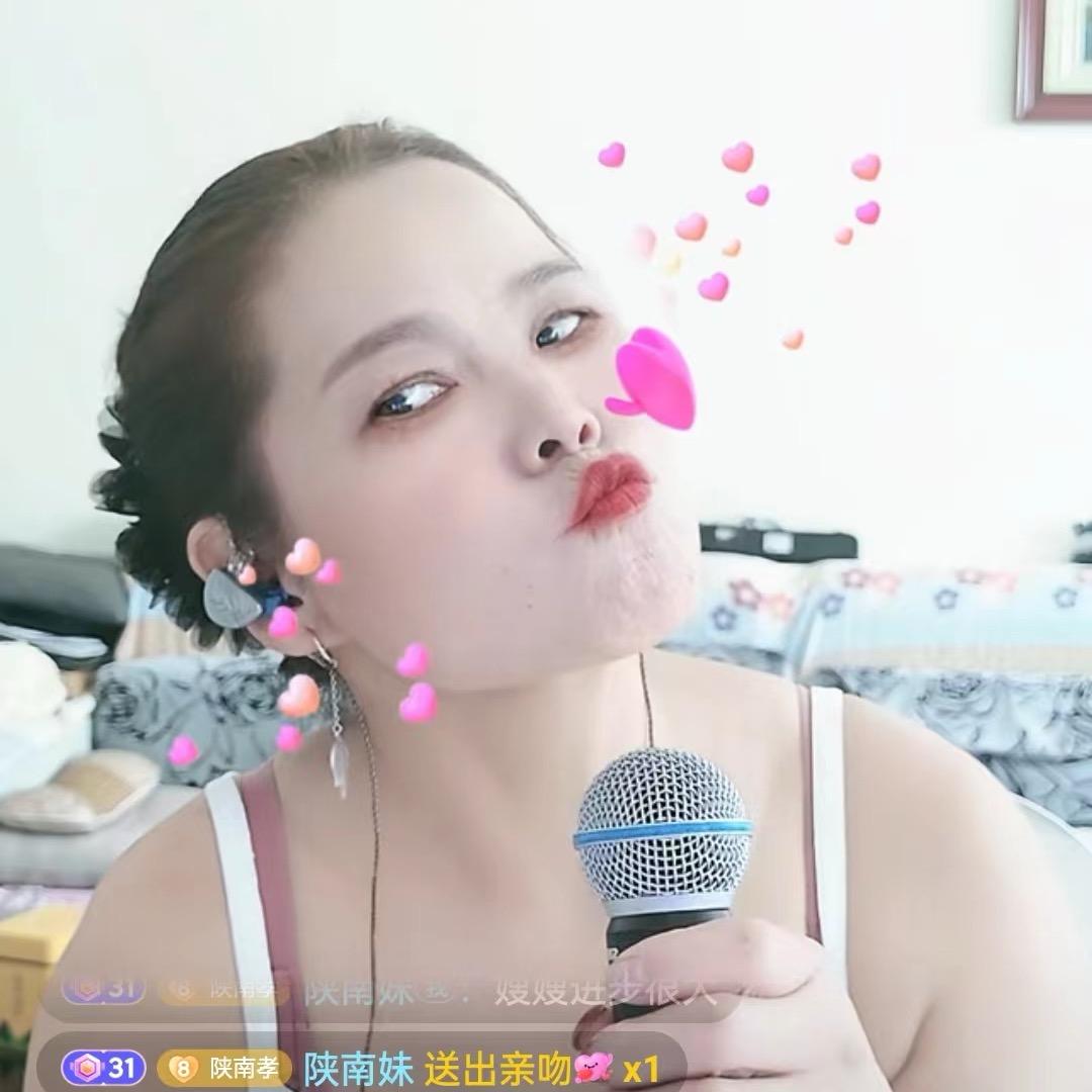 陕南姐