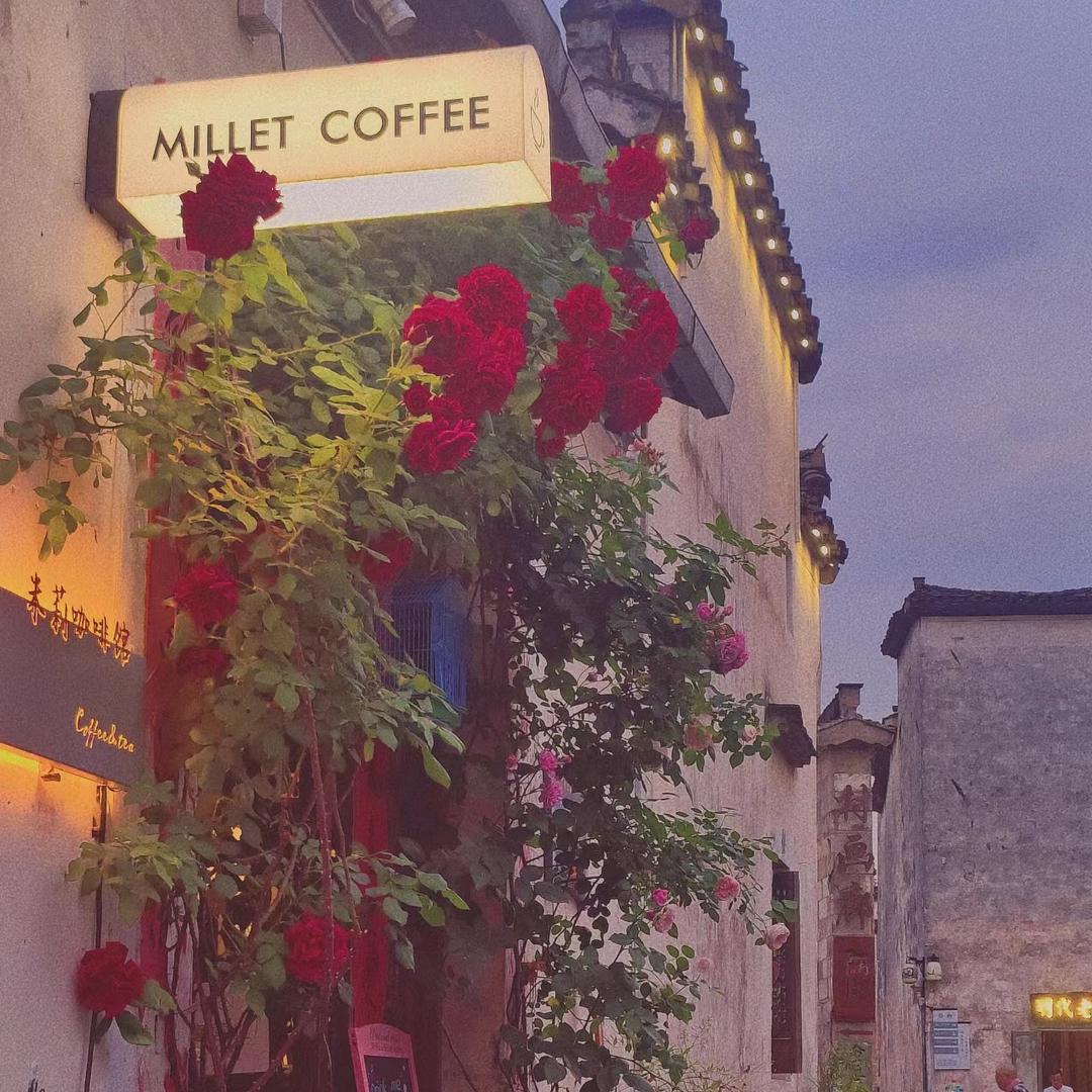 西递最懒老板娘