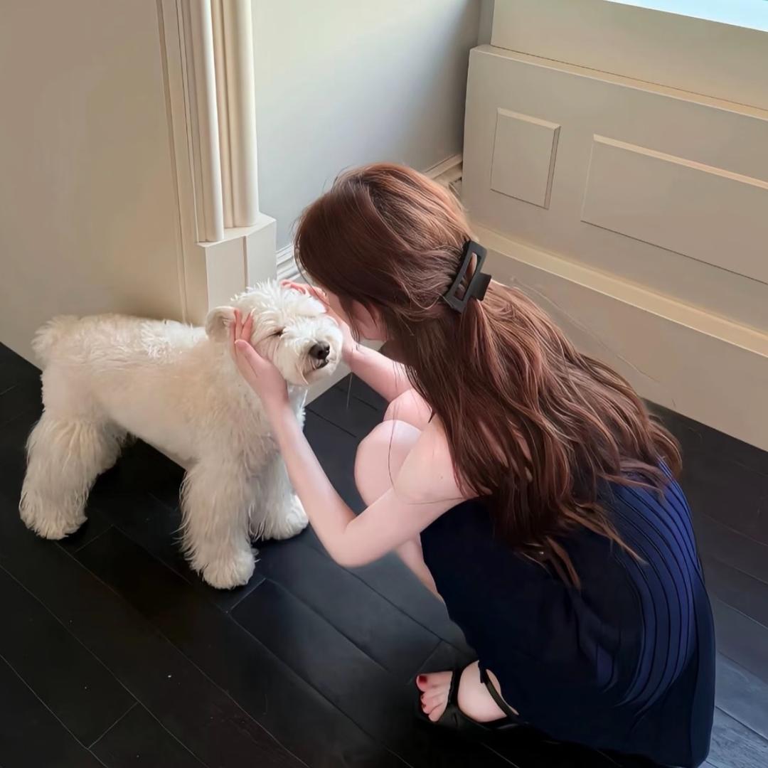 猫小奈