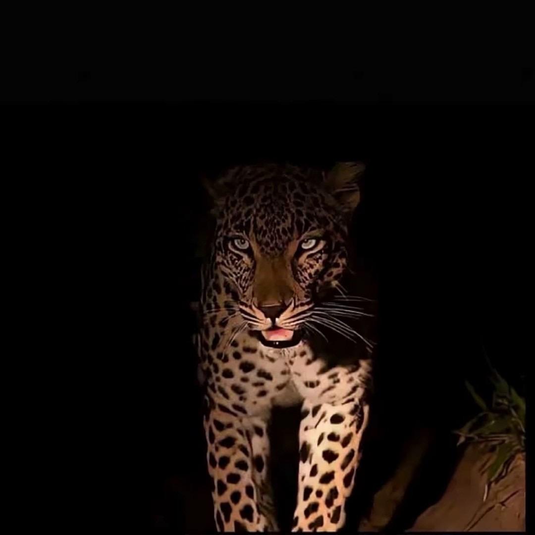 ㅤㅤㅤㅤㅤ   ㅤㅤㅤㅤ