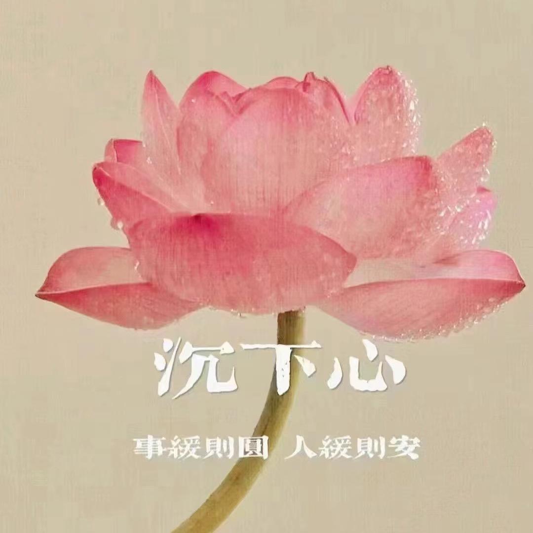 米米米米米米米米米