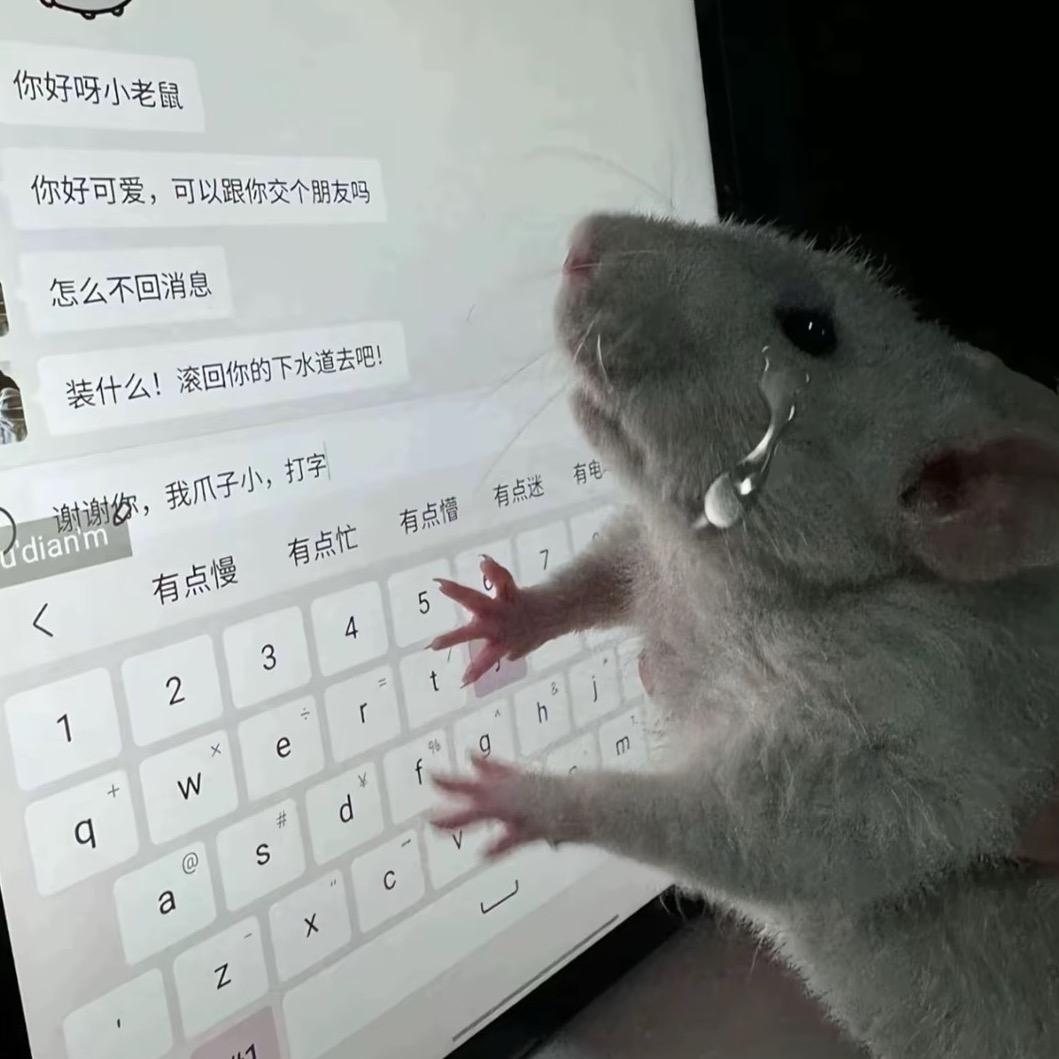 用户13198974667