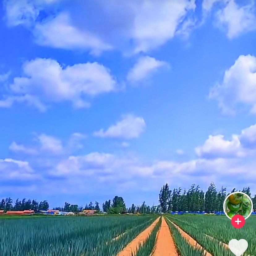 新凌农家瓜果菜