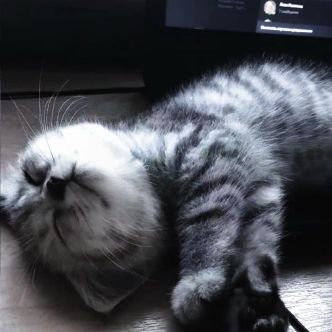 𝑭𝒂𝒏𝒕𝒂𝒔𝒚_