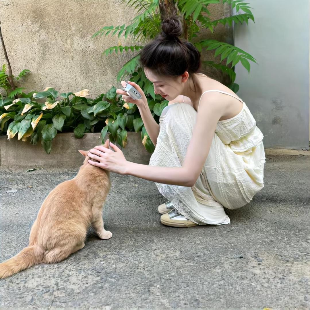 一只绵羊