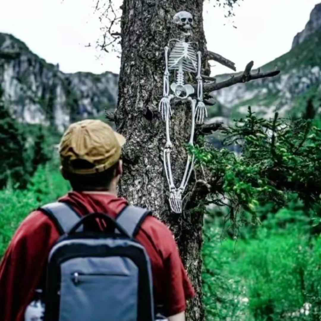 ࿐永日旦尼 🇧🇷