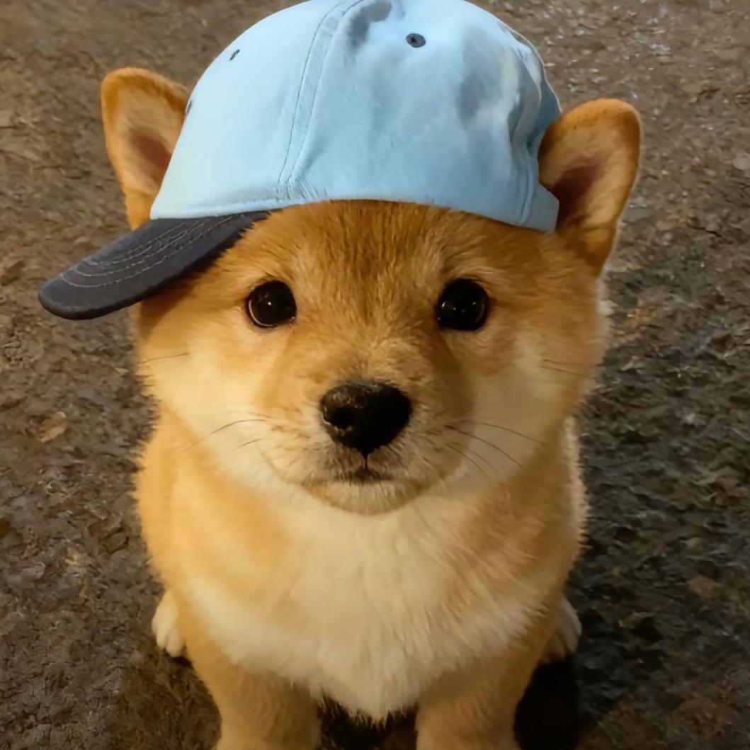 Fubeka🐾