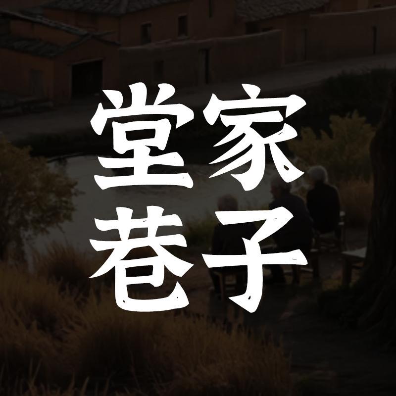 堂家巷子企业店