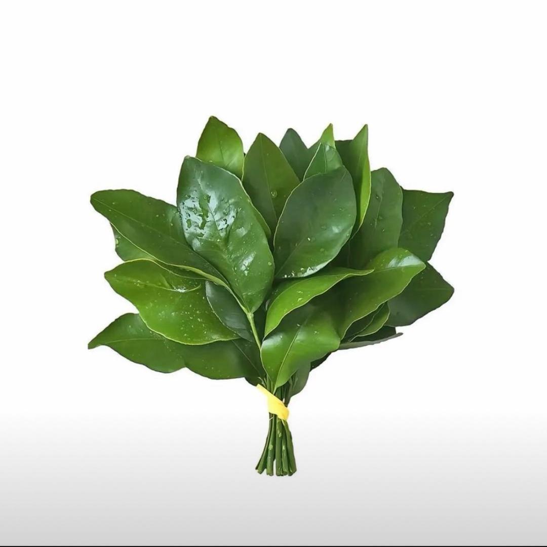 吃螃蟹的虾