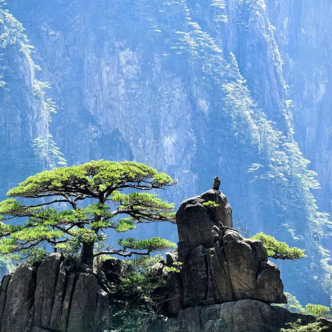 明台⚡️句透人生
