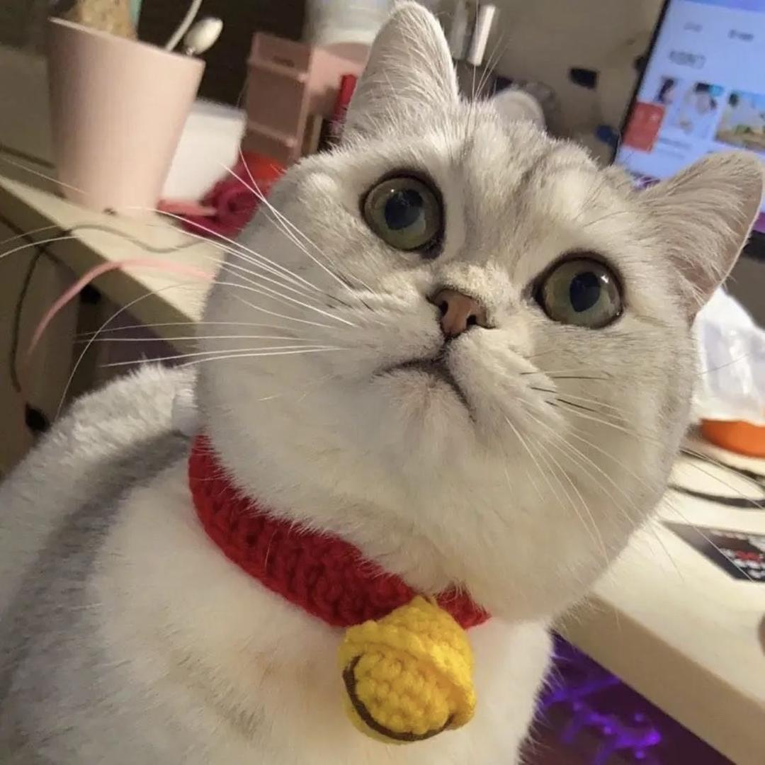 鲨鱼辣椒