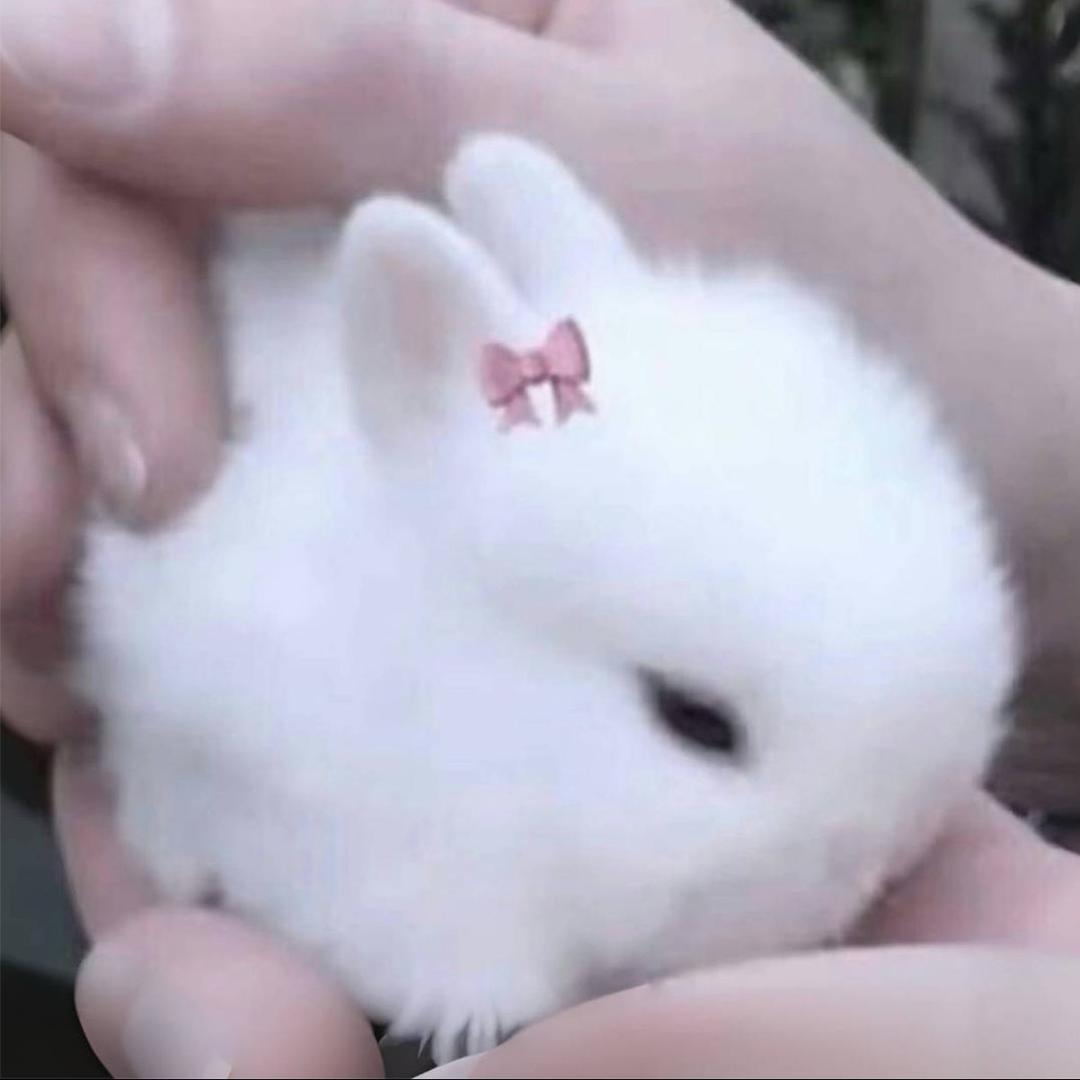 碎落东京