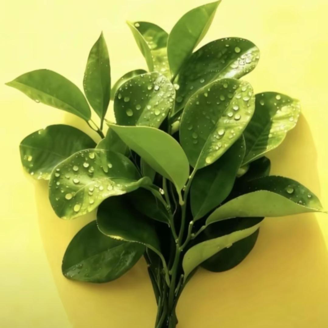 重生之我在沂水卖滕州菜煎饼