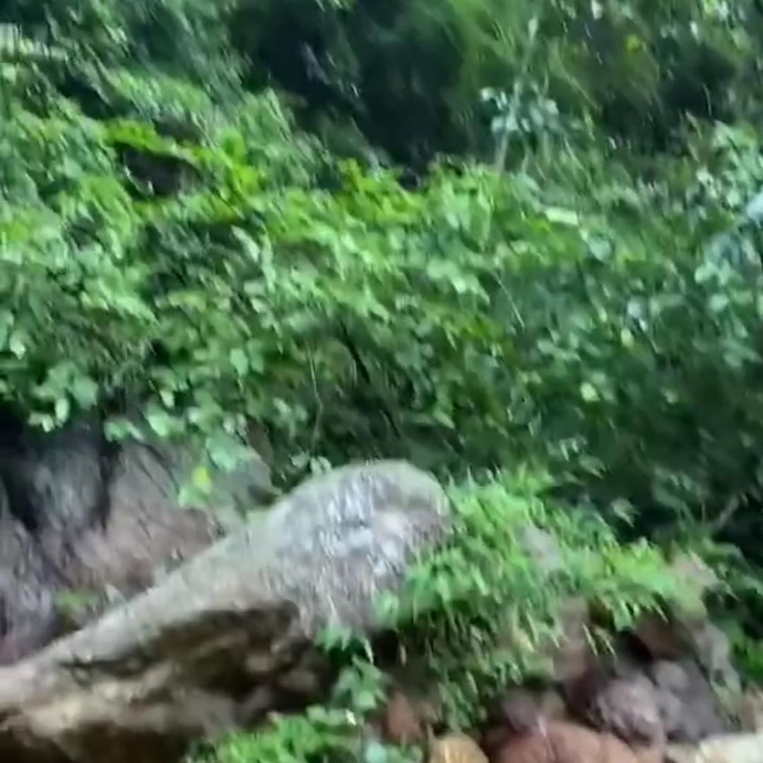 尤溪县溪上土特产商行