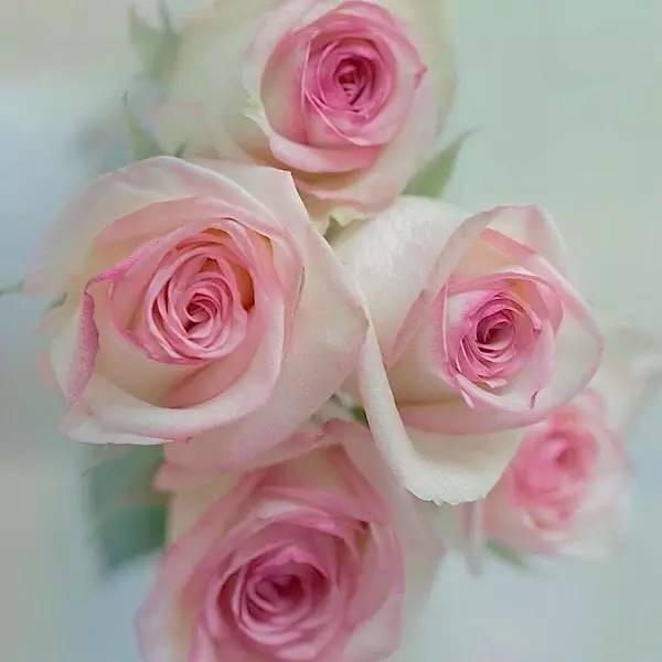 开心女王品牌女装童装