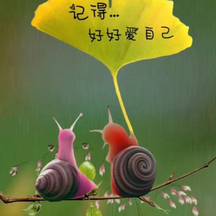 哈喽哈喽！