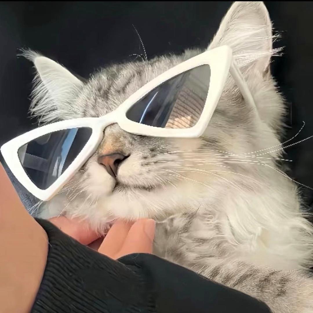差点曾志伟