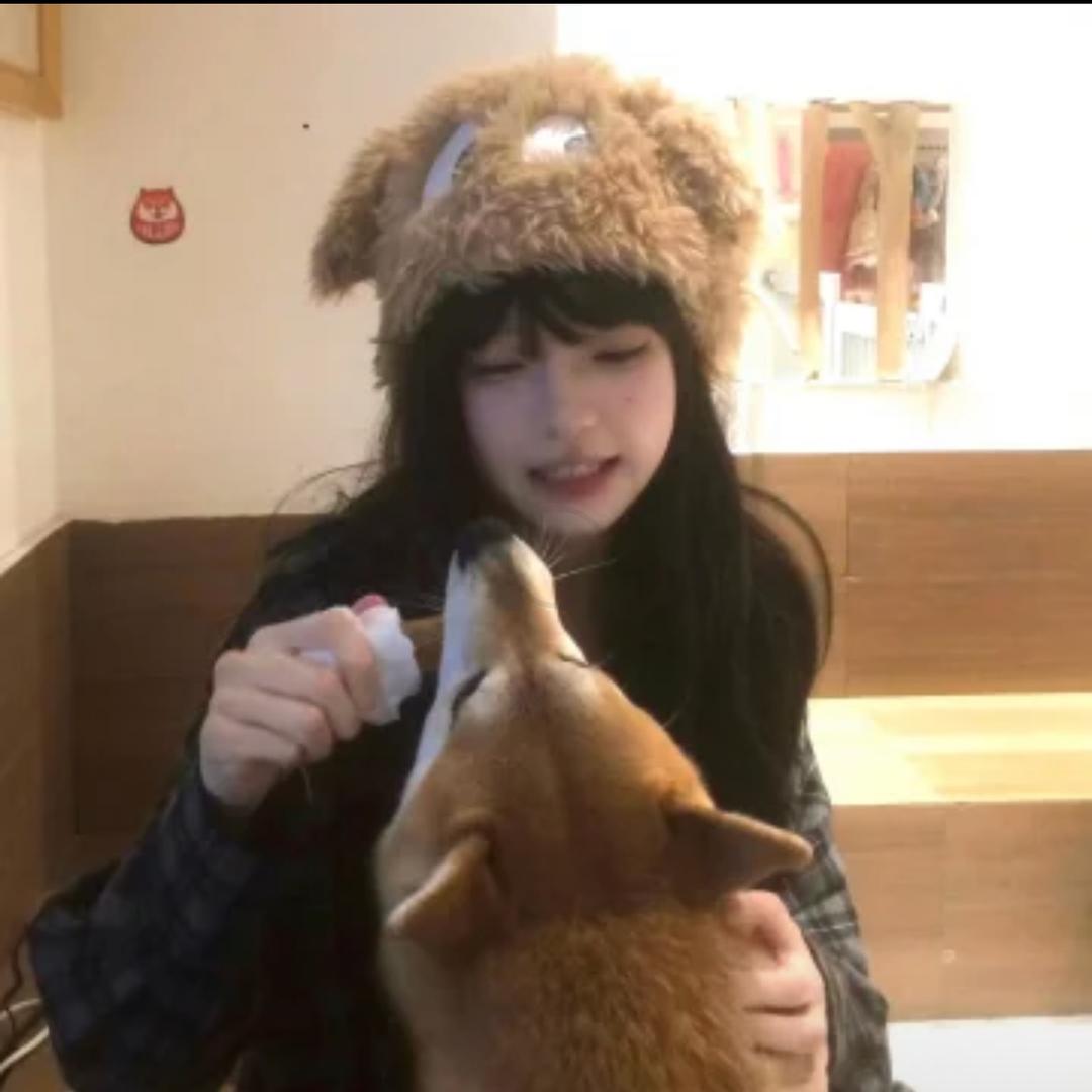 西红柿炒鸡蛋ovo