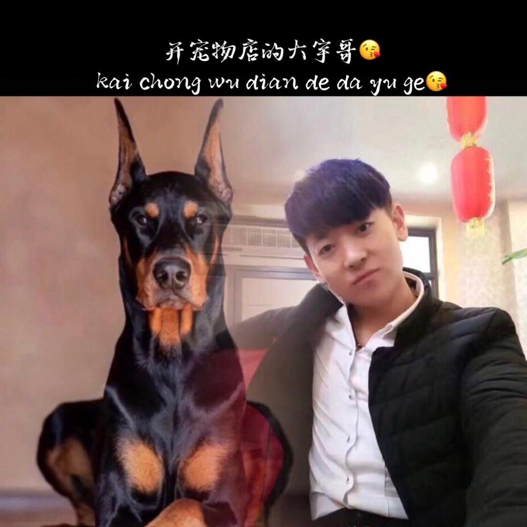 开宠物店的大宇哥哥