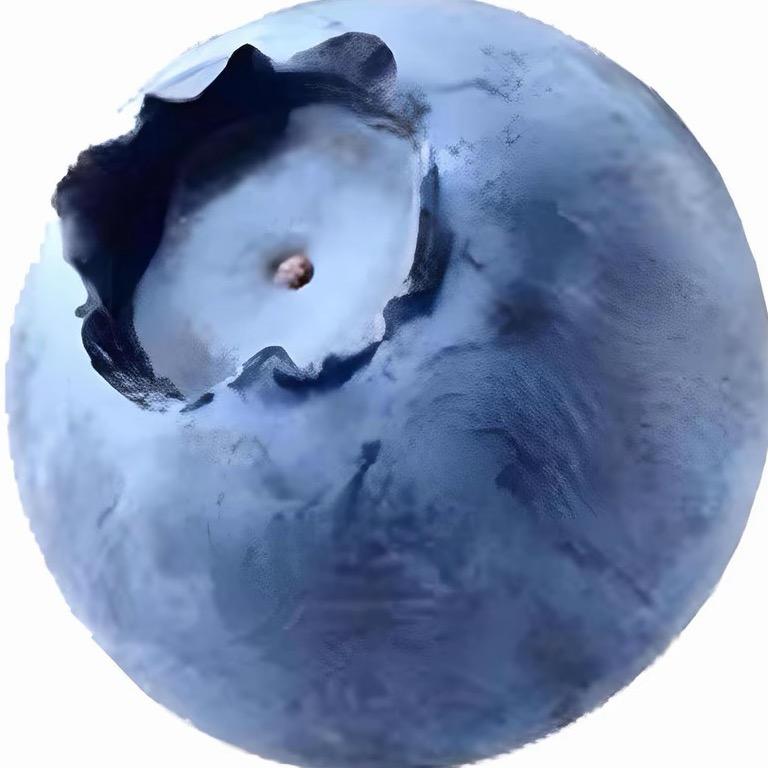不是只土豆