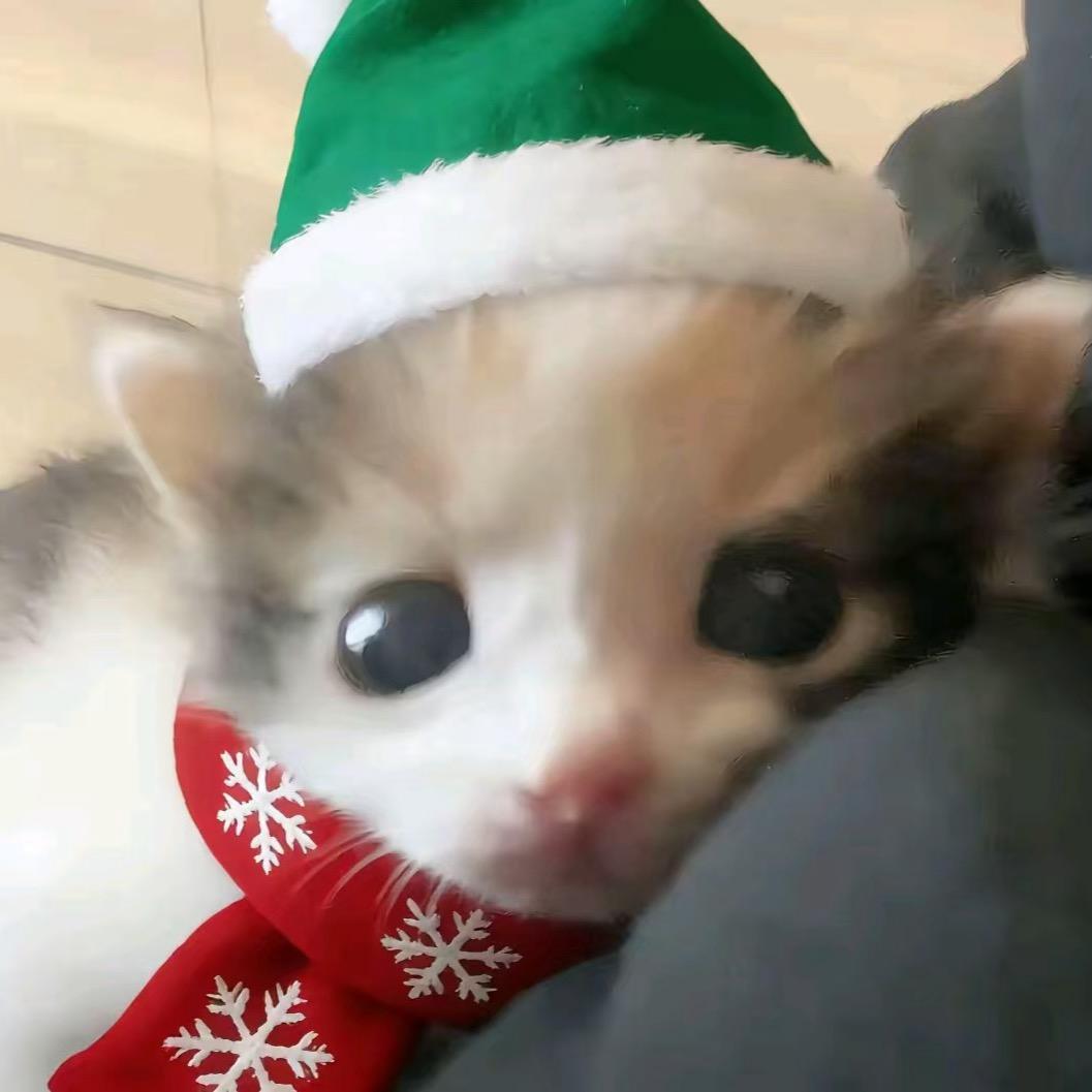 凌晨四点喂鸡发现老公在和男小三私会