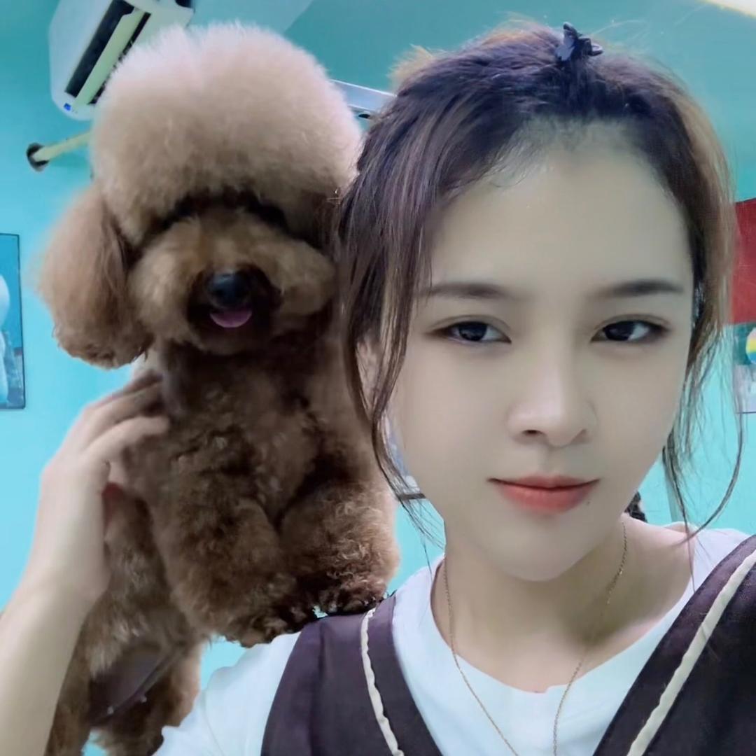 丹丹宠物生活馆