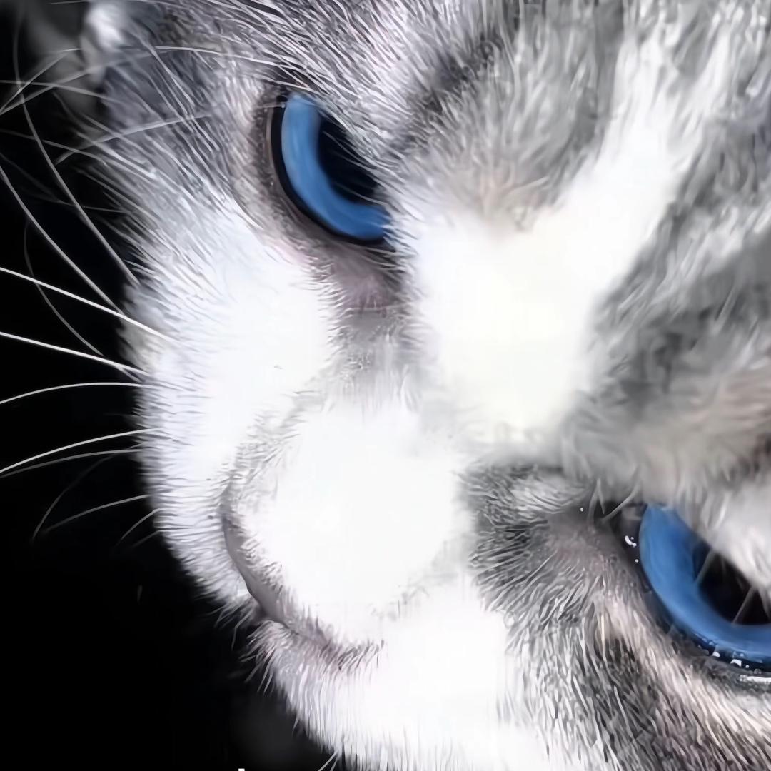 文阳【微胖版】