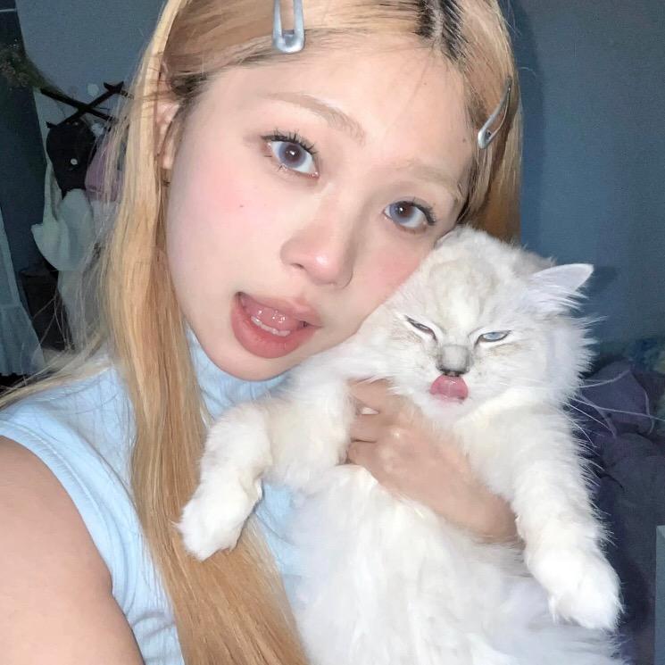 香静