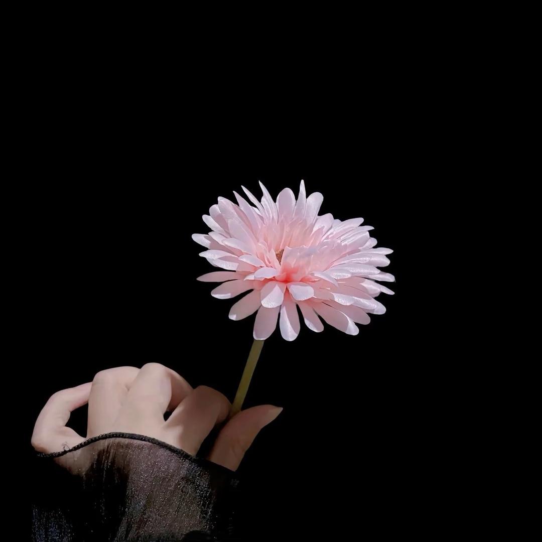 💞晚風千千
