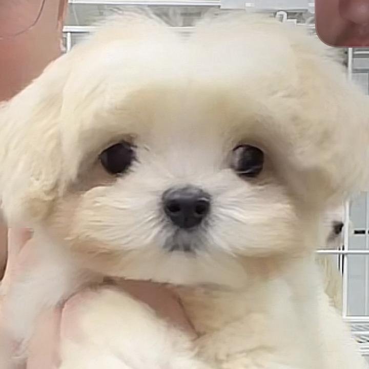 你别皱眉