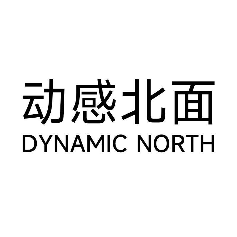 DYNAMIC NORTH服装旗舰店
