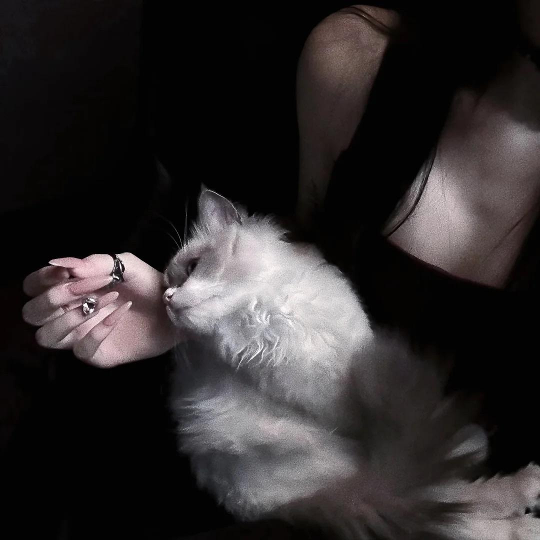 栗