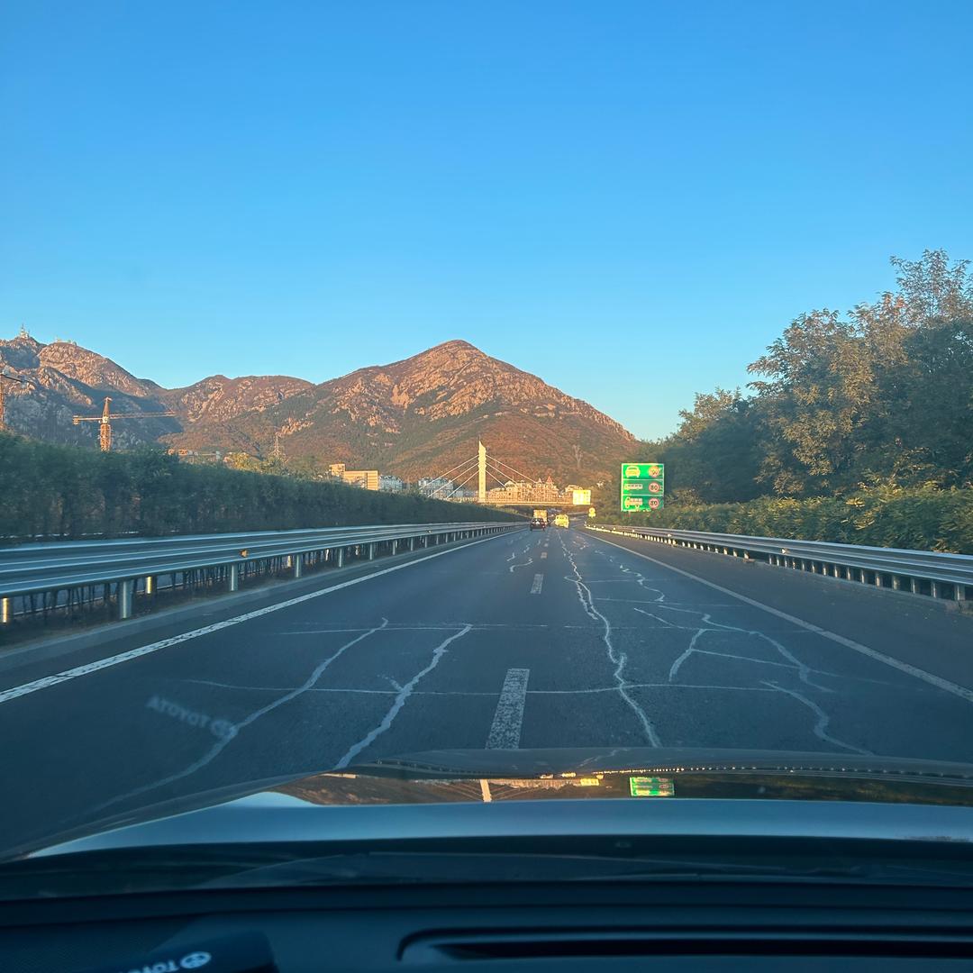 陈青年