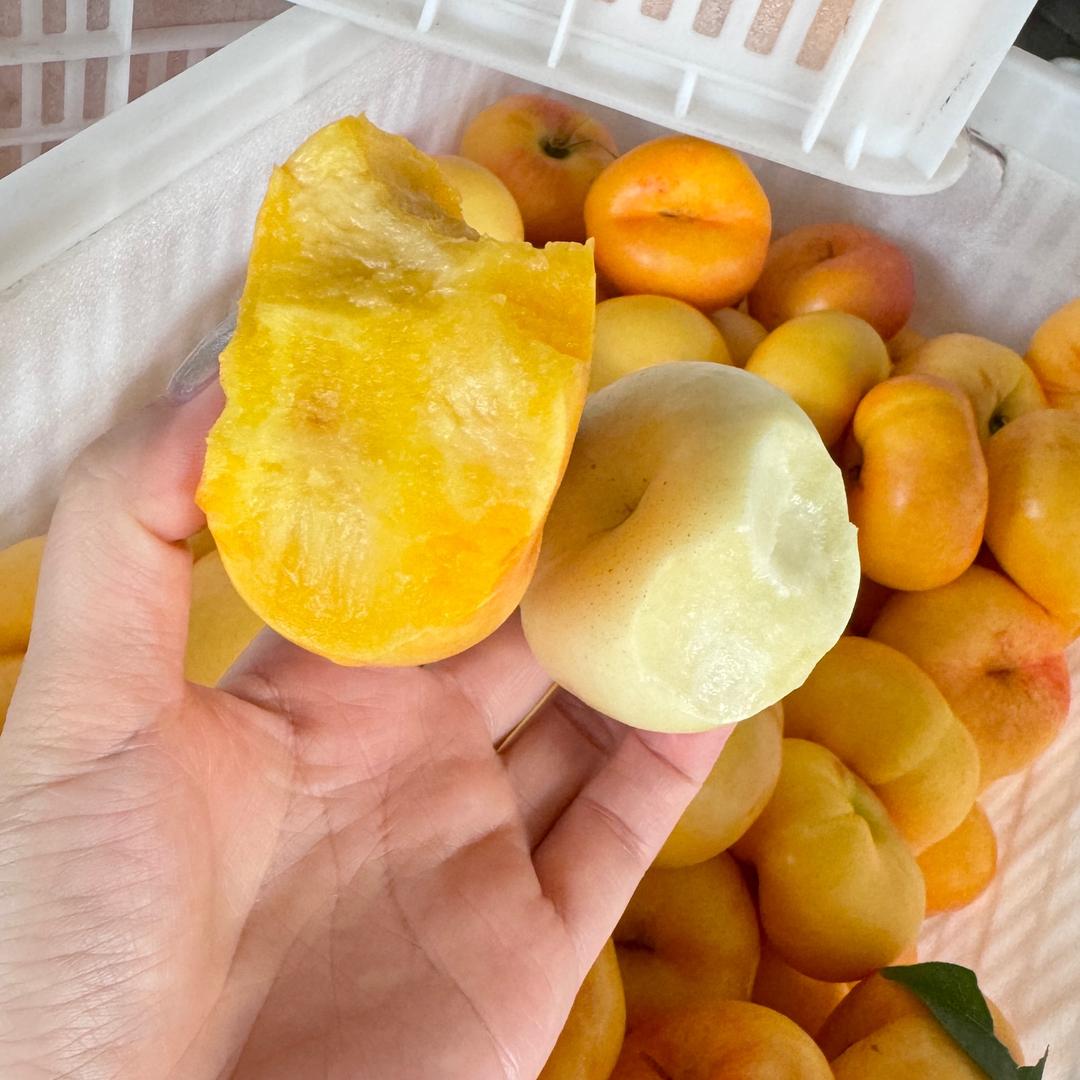 助农人来乾儿(山东蒙阴蜜桃原产地)