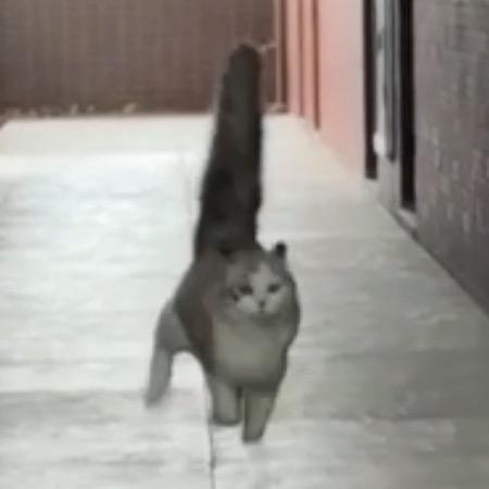 梨闻了来